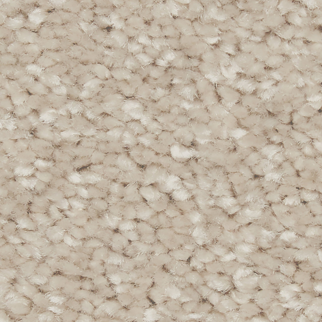 Riva Sb Carpet