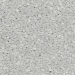 Load image into Gallery viewer, Riva Sb Carpet