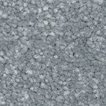 Load image into Gallery viewer, Riva Sb Carpet