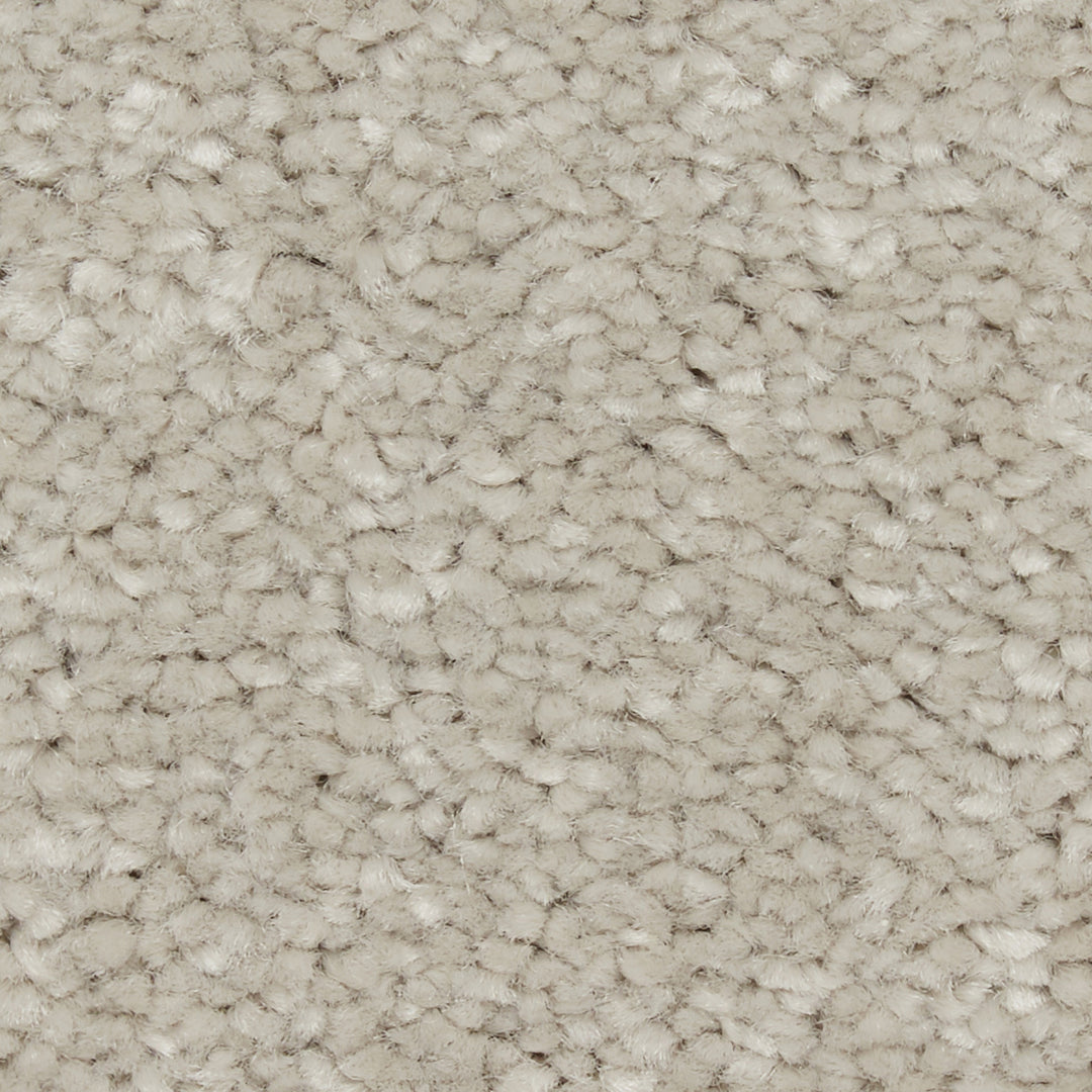 Riva Sb Carpet