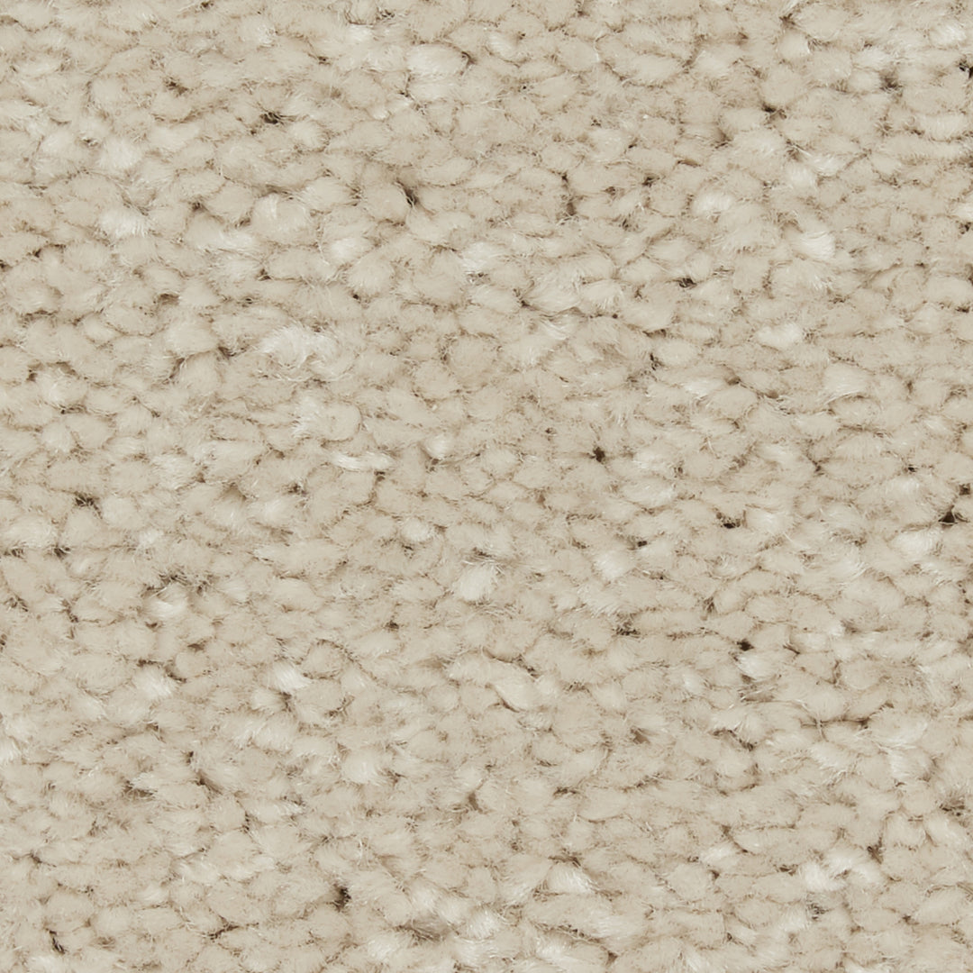 Riva Sb Carpet