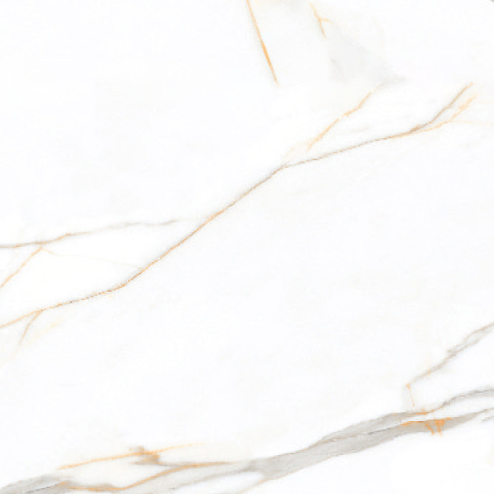 Calcatta Borghini  - 120x120 High Gloss Porcelain Tile