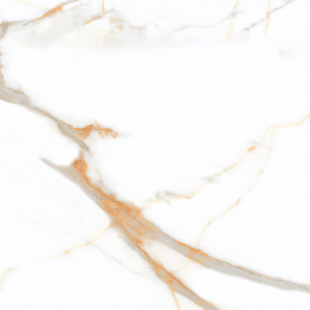 Calcatta Borghini  - 120x120 High Gloss Porcelain Tile