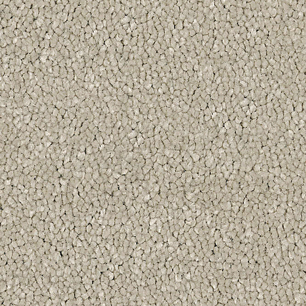 Color-Cotton