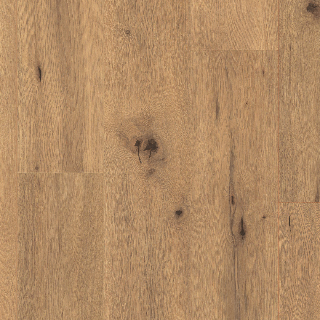 Daintree Laminate Flooring