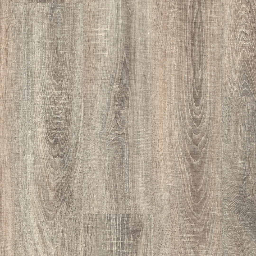 Daintree Laminate Flooring