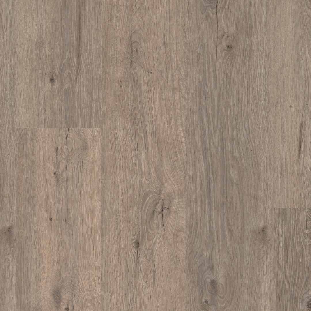 Daintree Laminate Flooring