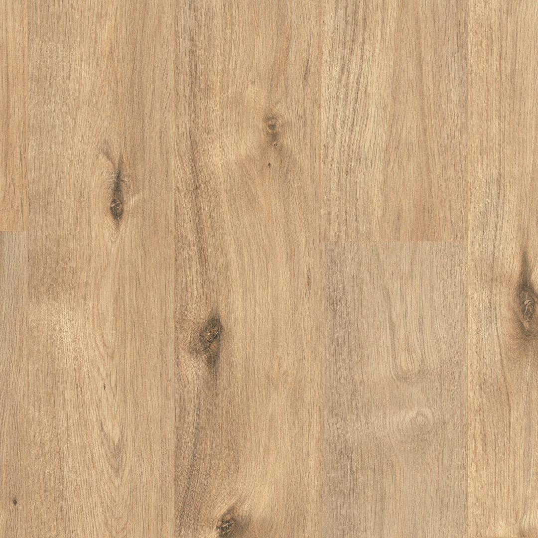 Daintree Laminate Flooring