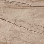 Load image into Gallery viewer, FOREST BROWN  - 120x120 High Gloss Porcelain Tile
