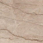 Load image into Gallery viewer, FOREST BROWN  - 120x120 High Gloss Porcelain Tile
