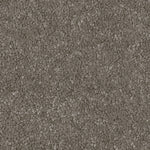 Load image into Gallery viewer, Color-Fleece
