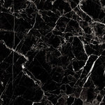 Load image into Gallery viewer, GRAND ANTIQUE - 1200x600 High Gloss Porcelain Tile
