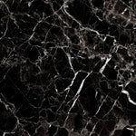 Load image into Gallery viewer, GRAND ANTIQUE - 1200x600 High Gloss Porcelain Tile
