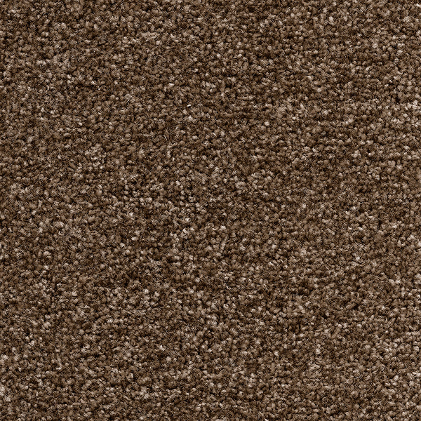 Color-Glace Coffee