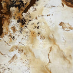 Load image into Gallery viewer, Glitz splash Choko Brown - 120x60 High Gloss Porcelain Tile
