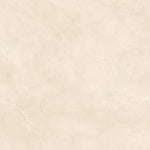 Load image into Gallery viewer, Granite Grove  - 120x120 High Gloss Porcelain Tile
