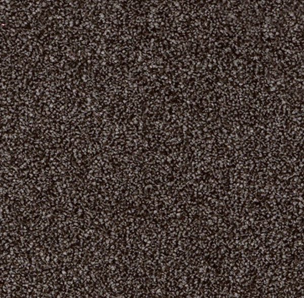Color-Dark Forest