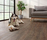 Load image into Gallery viewer, Jasper Oak 01 Waterproof LVT | Coretec Floors
