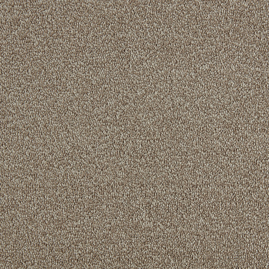 Scala Style Felt Ab Carpet