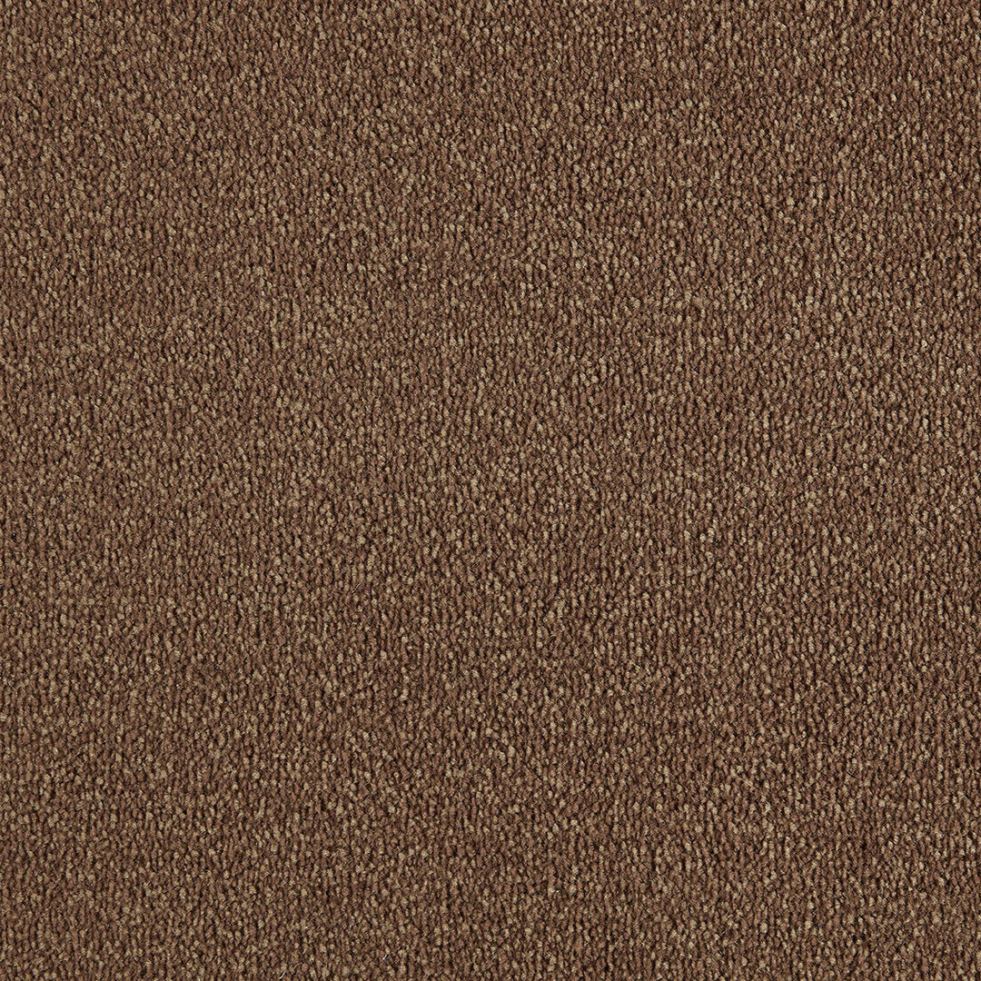 Scala Style Felt Ab Carpet