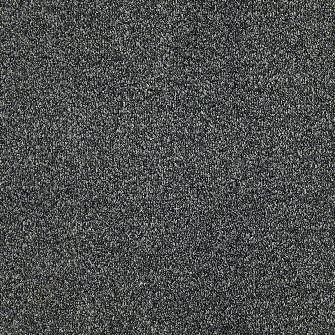 Scala Style Felt Ab Carpet