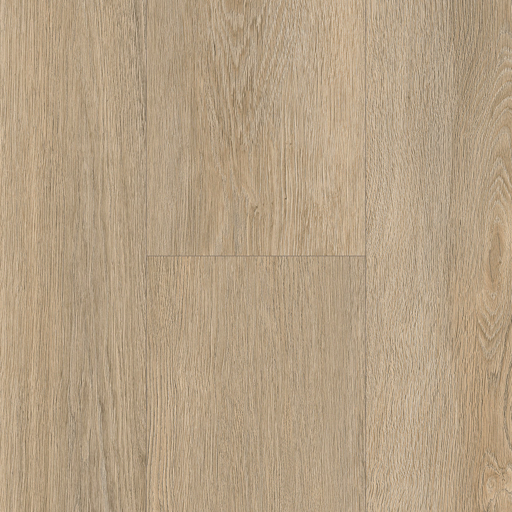 Holland Park LVT