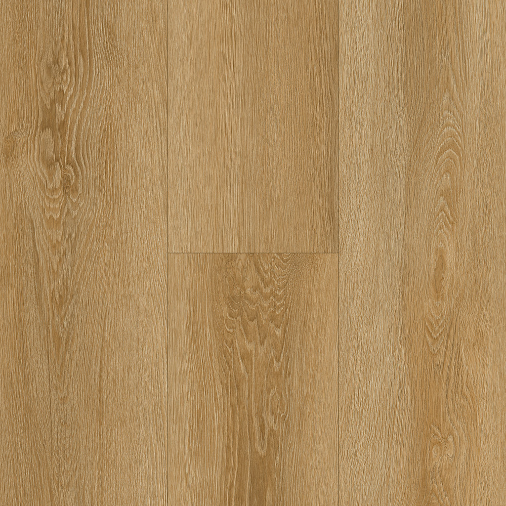 Holland Park LVT