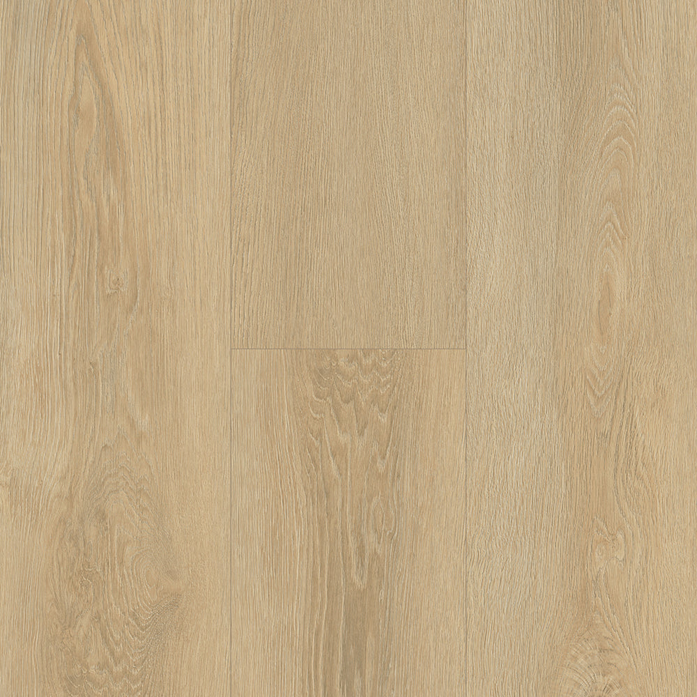Holland Park LVT