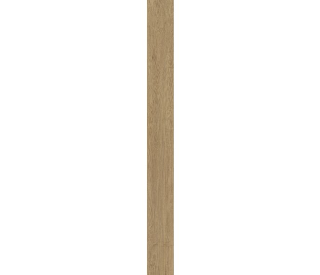 Munster Oak 53 Waterproof LVT | Coretec Floors