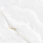 Load image into Gallery viewer, ONYX ORIGIN  - 120x120 High Gloss Porcelain Tile
