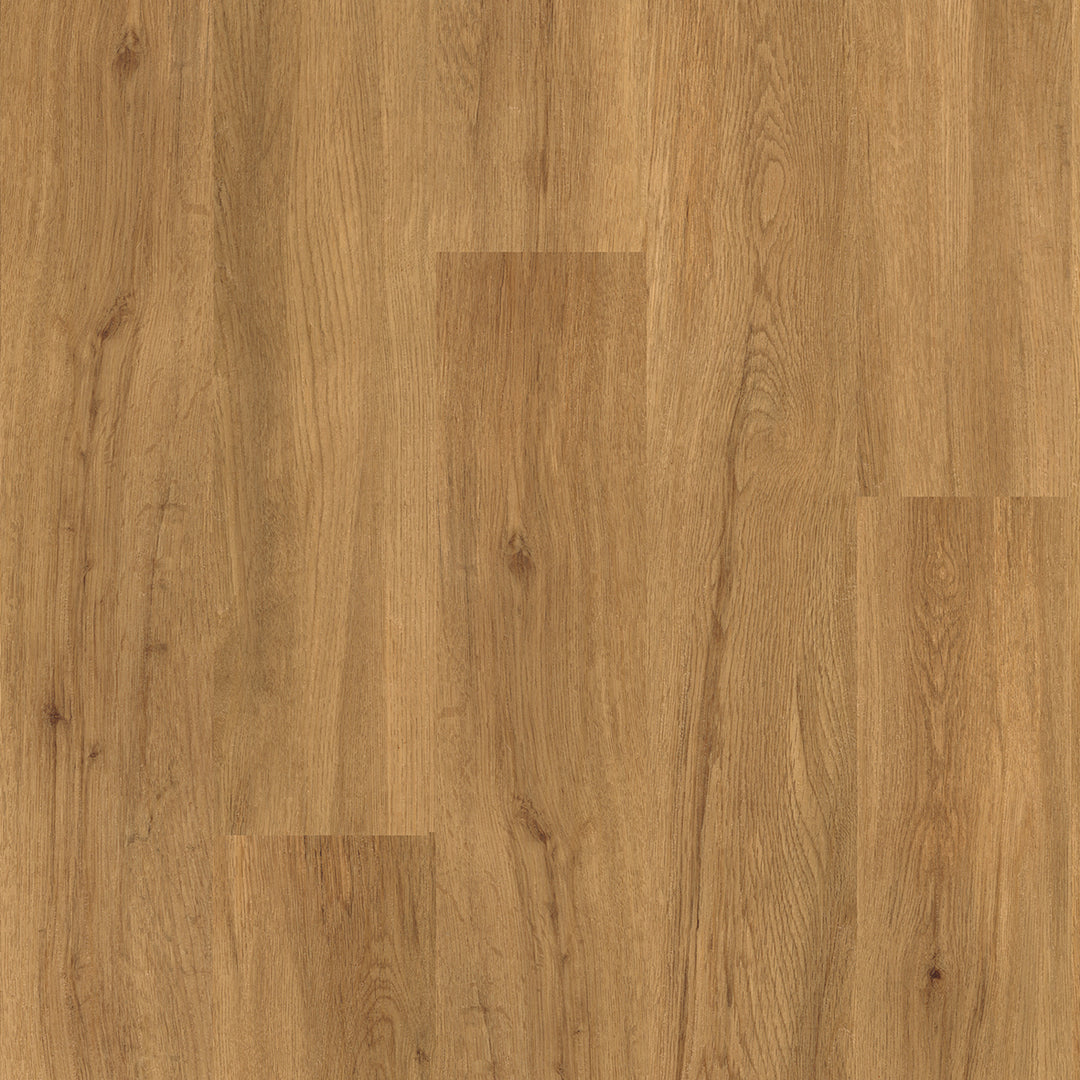 Colonia LVT