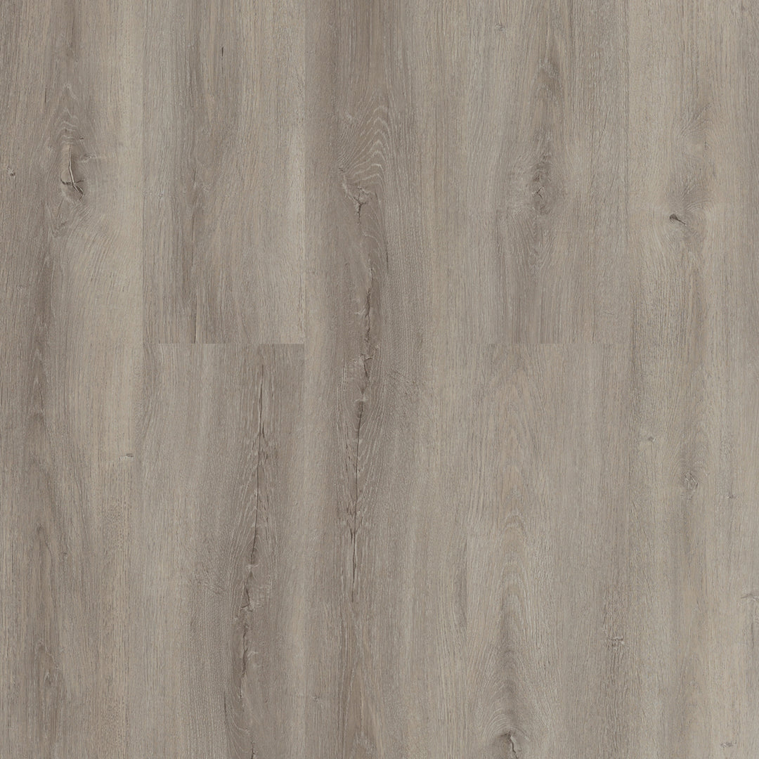Colonia LVT