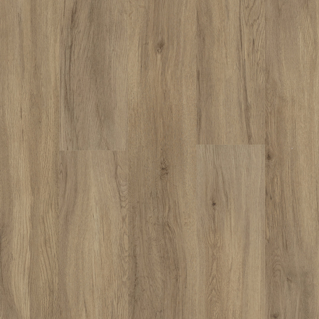 Colonia LVT