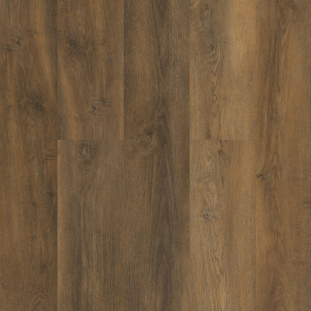 Colonia LVT