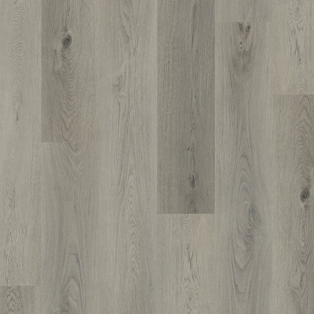 Colonia LVT
