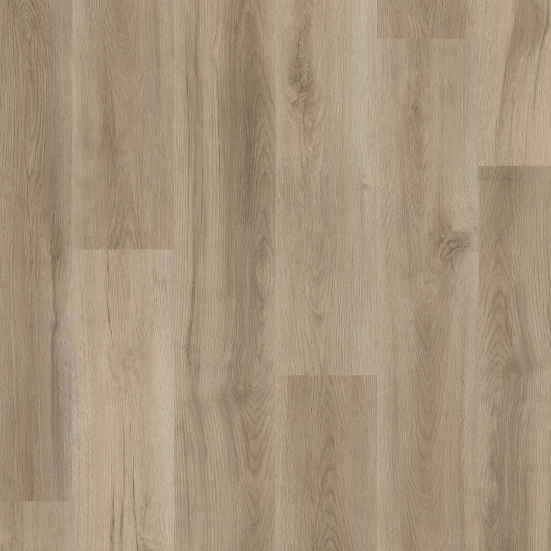 Colonia LVT