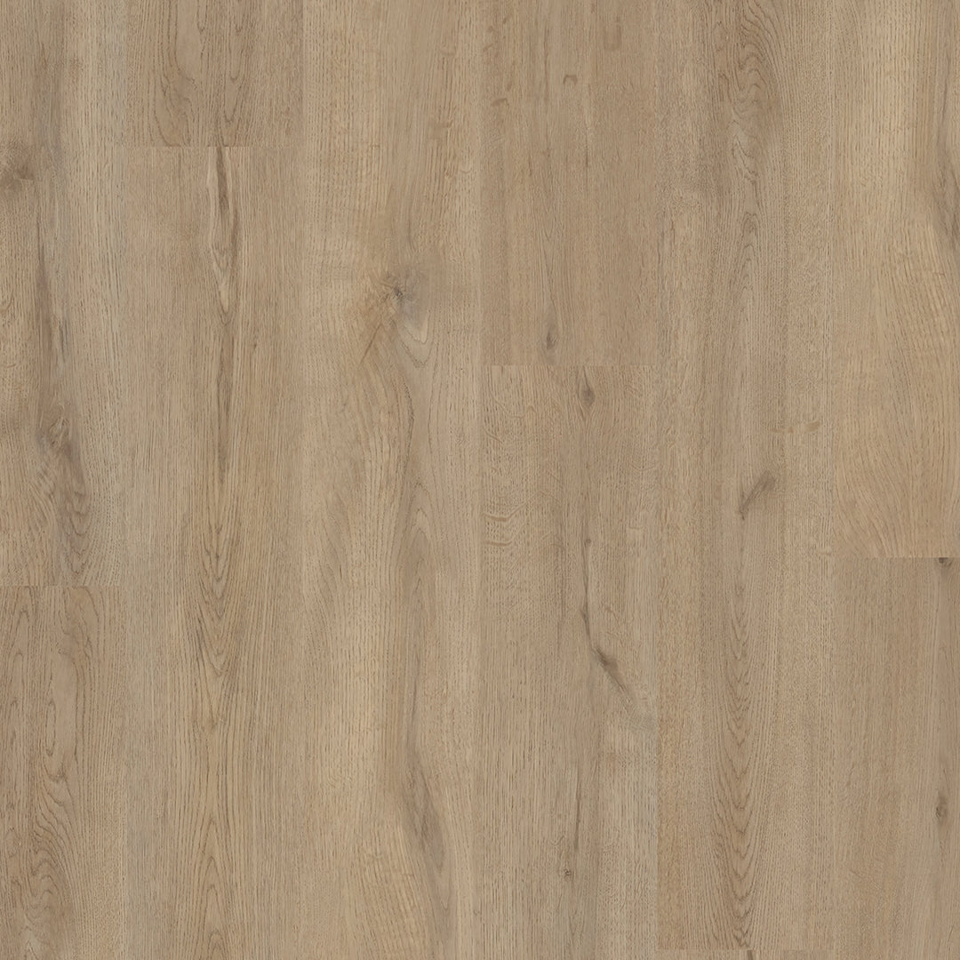 Colonia LVT