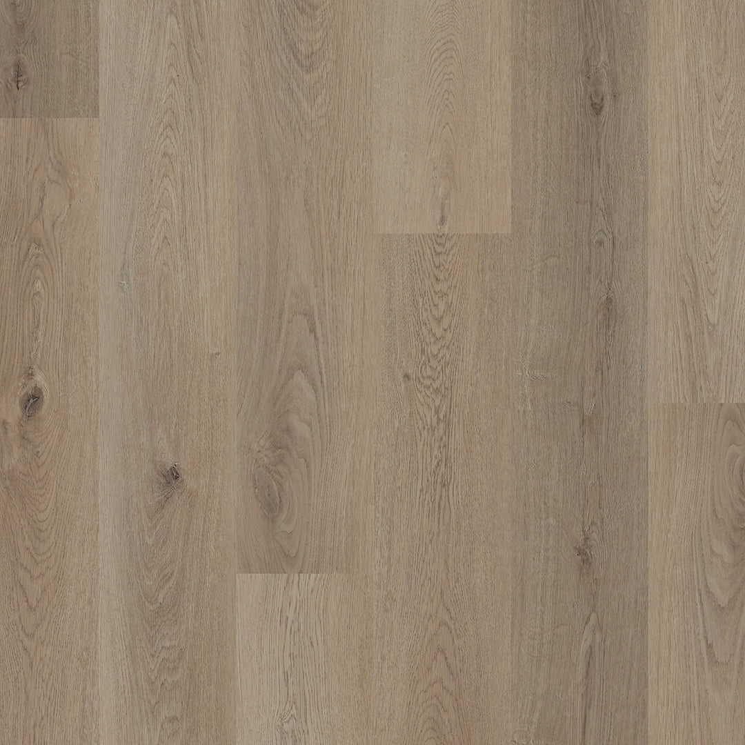 Colonia LVT