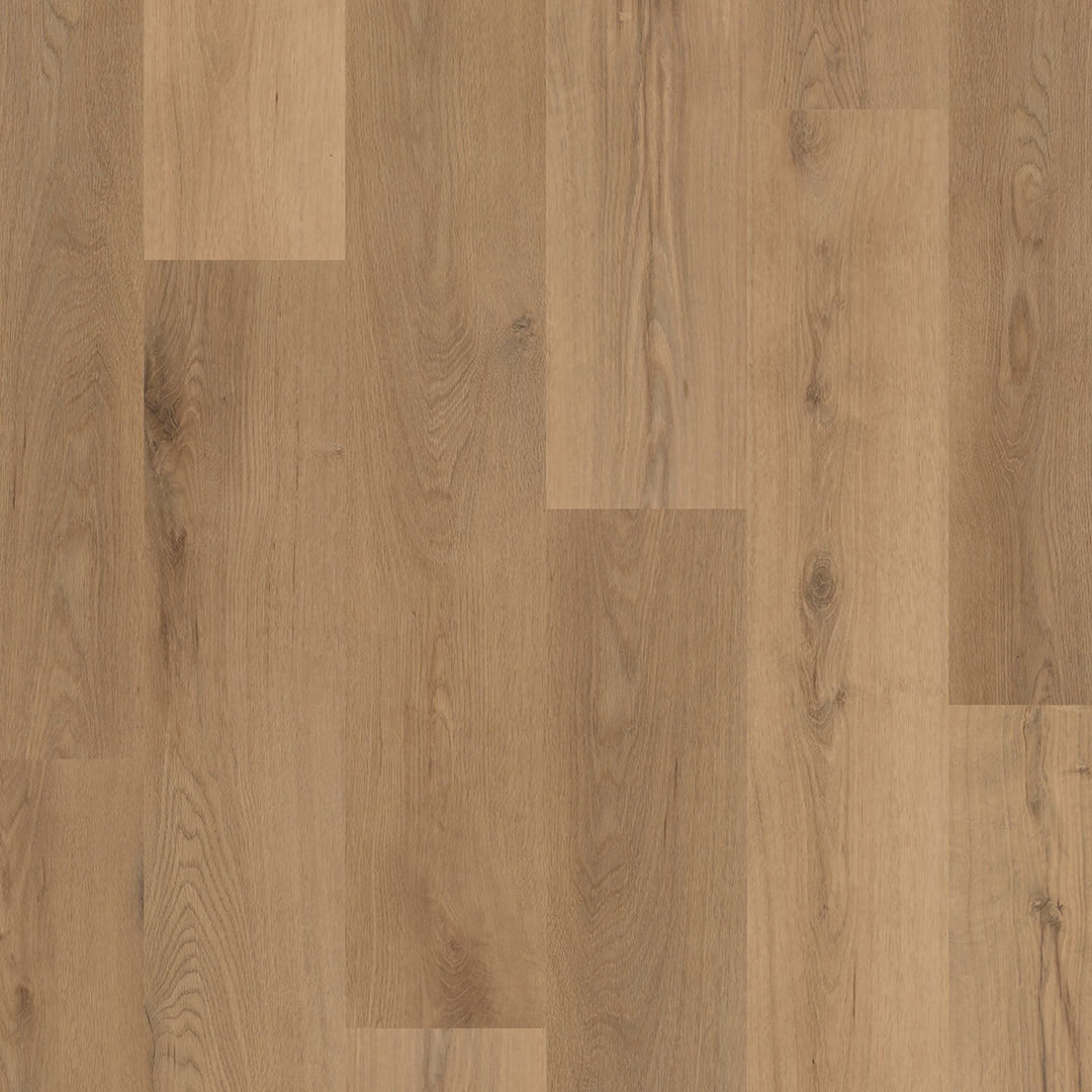 Colonia LVT