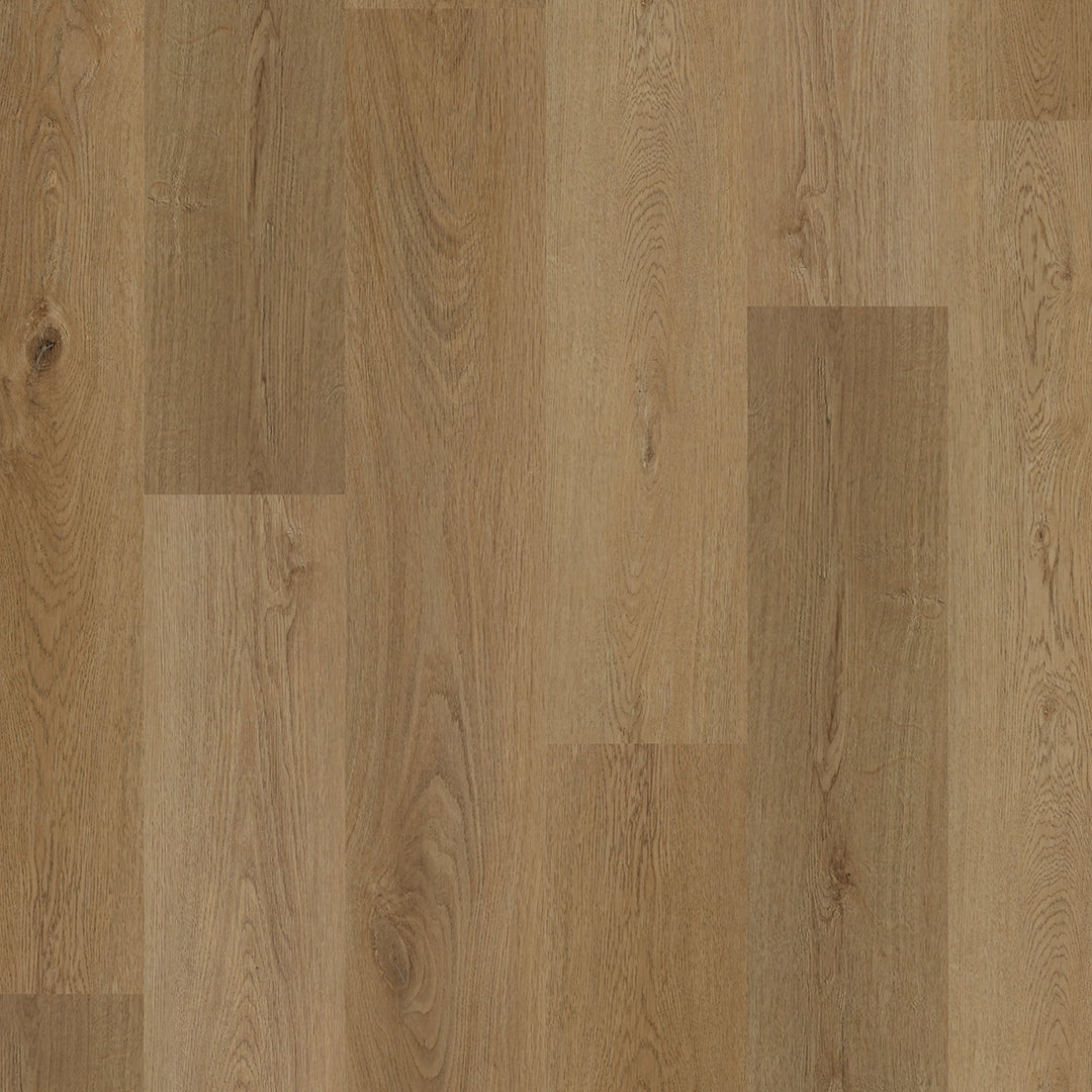 Colonia LVT