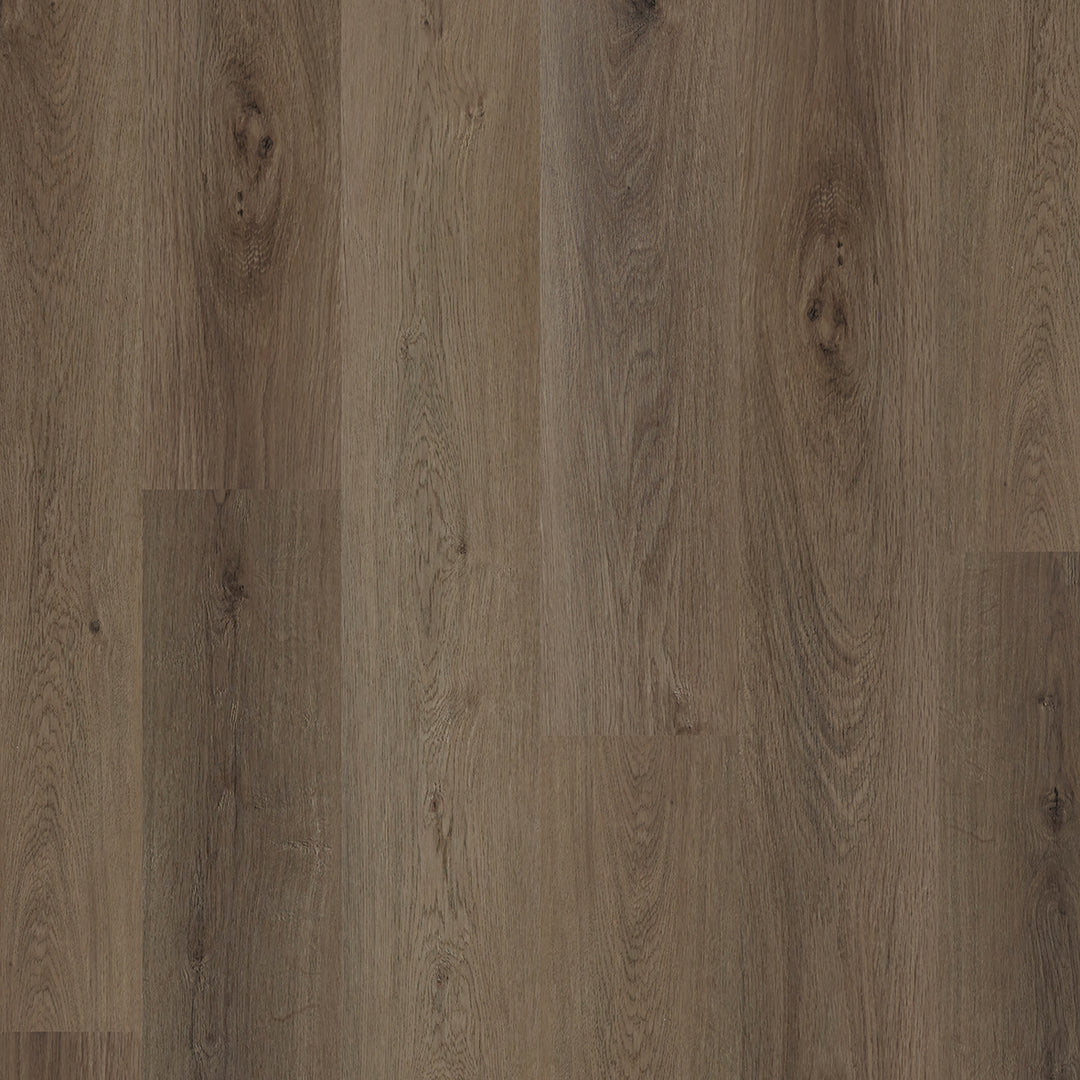 Colonia LVT