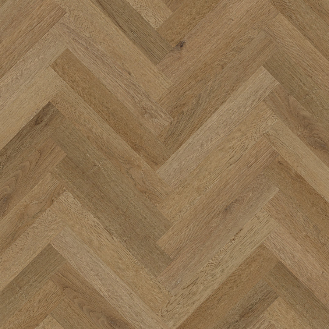 Colonia LVT