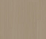 Load image into Gallery viewer, Palazzo Waterproof LVT | Coretec Floors
