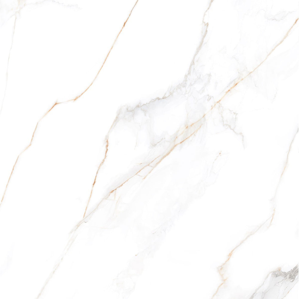 REGAL BELLEZA  - 120x120 High Gloss Porcelain Tile