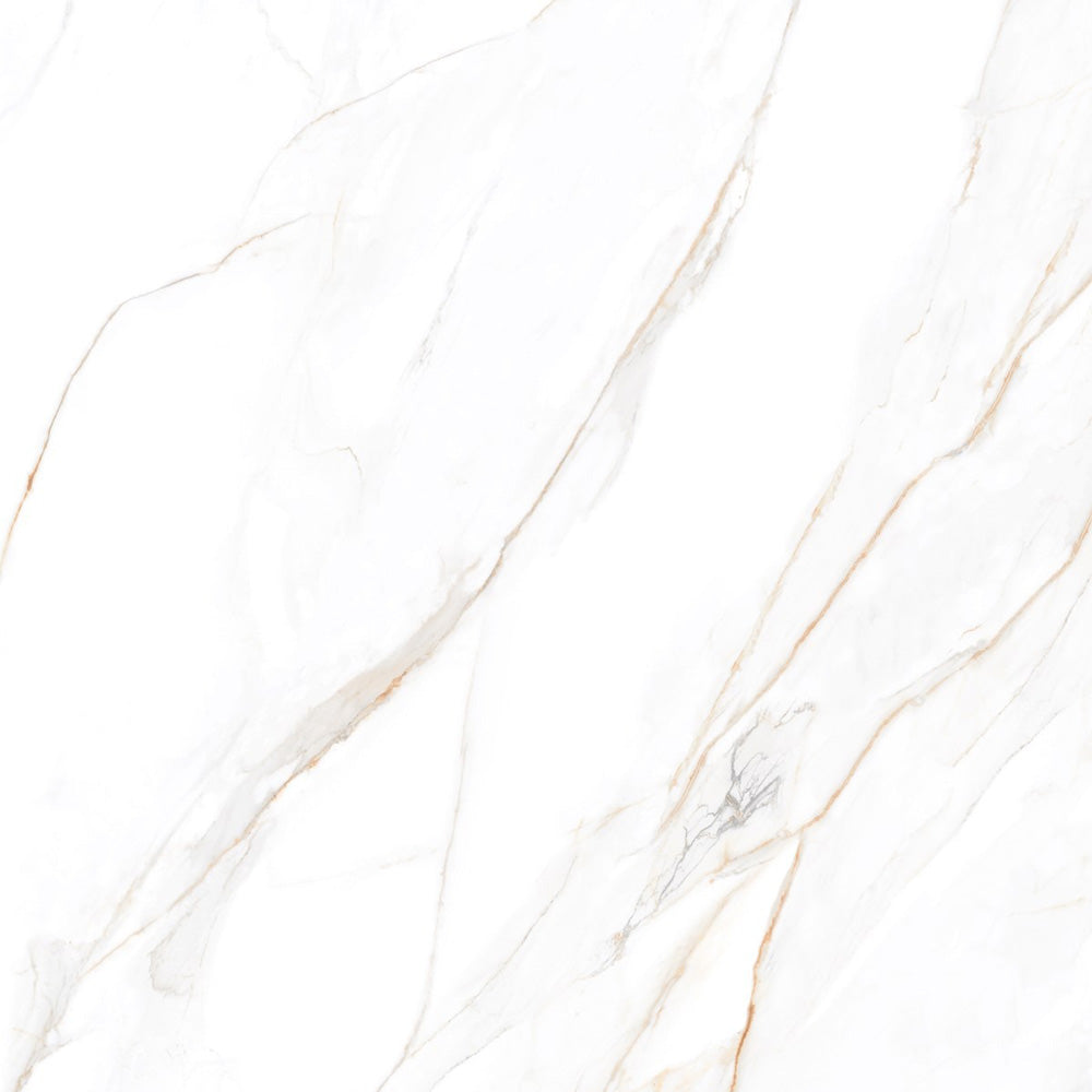 REGAL BELLEZA  - 120x120 High Gloss Porcelain Tile