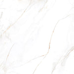 Load image into Gallery viewer, REGAL BELLEZA  - 120x120 High Gloss Porcelain Tile

