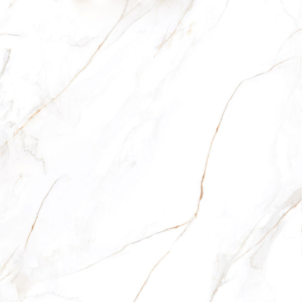 REGAL BELLEZA  - 120x120 High Gloss Porcelain Tile
