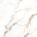 Load image into Gallery viewer, SIGNORA  - 120 x 120 - High gloss porcelain tile
