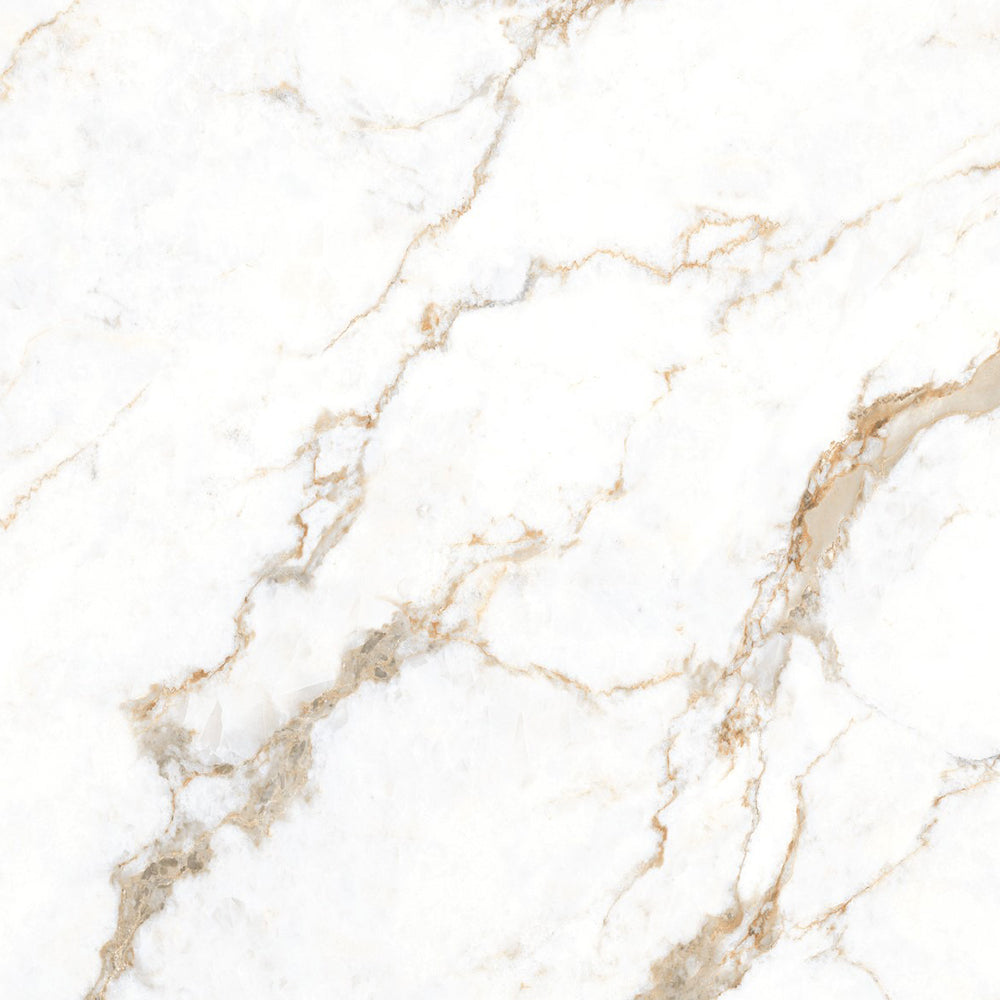 SIGNORA  - 120 x 120 - High gloss porcelain tile