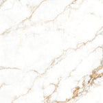Load image into Gallery viewer, SIGNORA  - 120 x 120 - High gloss porcelain tile
